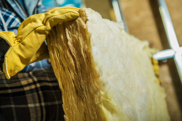 Best Geographic-Specific Insulation Services in Nokomis, IL