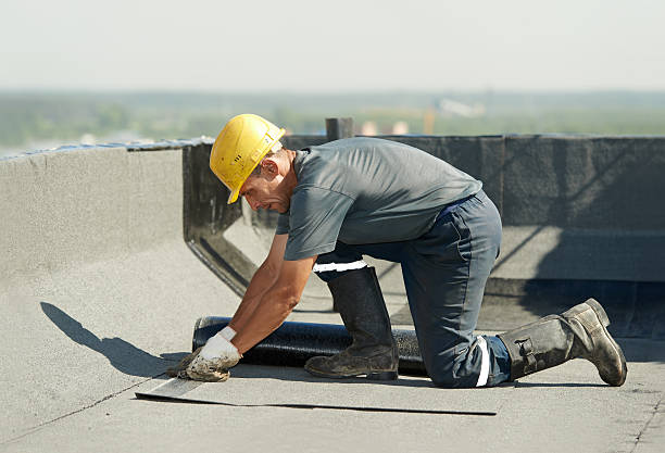 Best Specialized Insulation Services in Nokomis, IL
