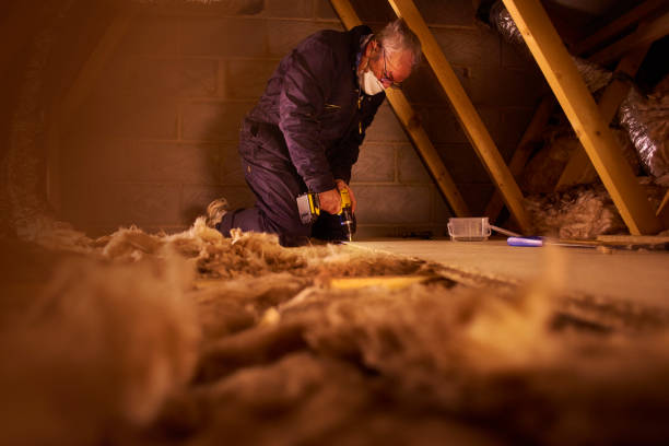Best Insulation Maintenance and Repair in Nokomis, IL
